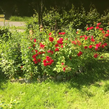 Haus Toquard Wittmund